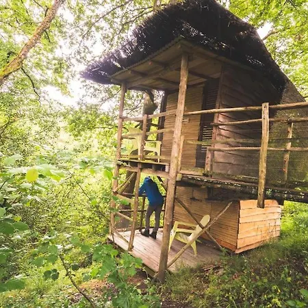 Terragora Glamping Camping