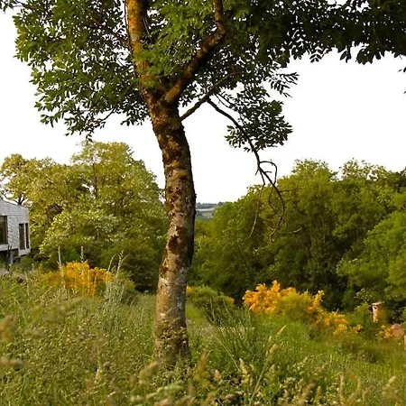 Terragora Glamping Camping