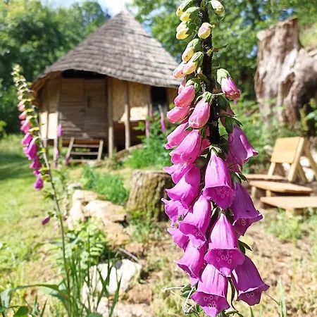 Terragora Glamping *