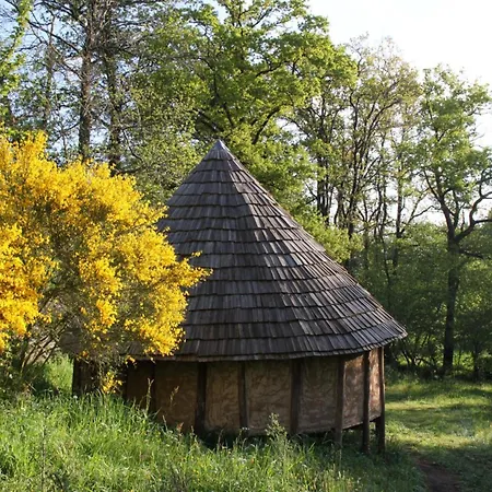 Camping Terragora Glamping *