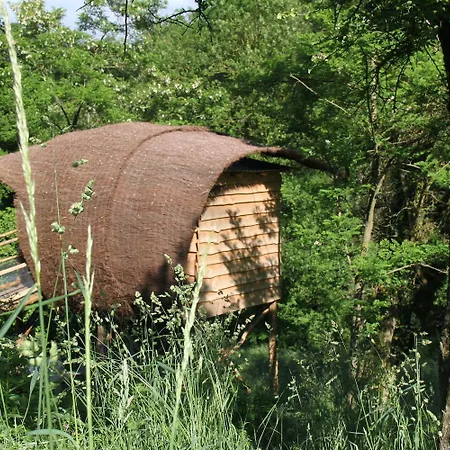 Terragora Glamping Camping