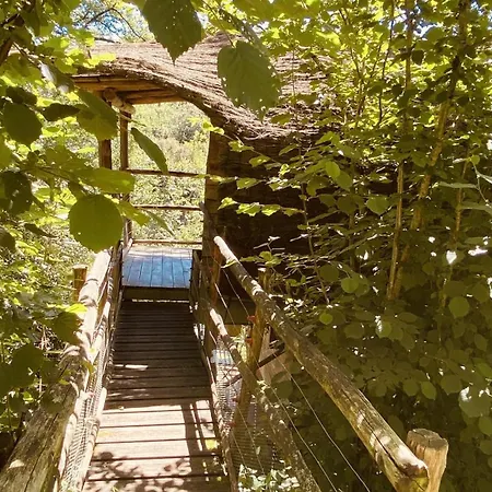 Camping Terragora Glamping