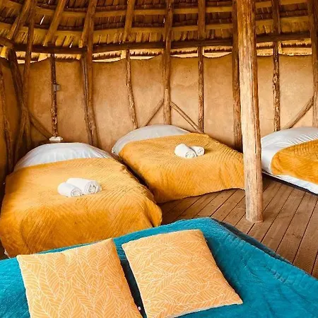 Terragora Glamping Camping *