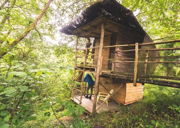 Campsite Terragora Glamping *