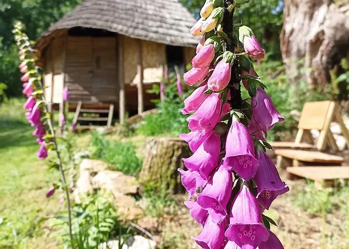 Terragora Glamping *