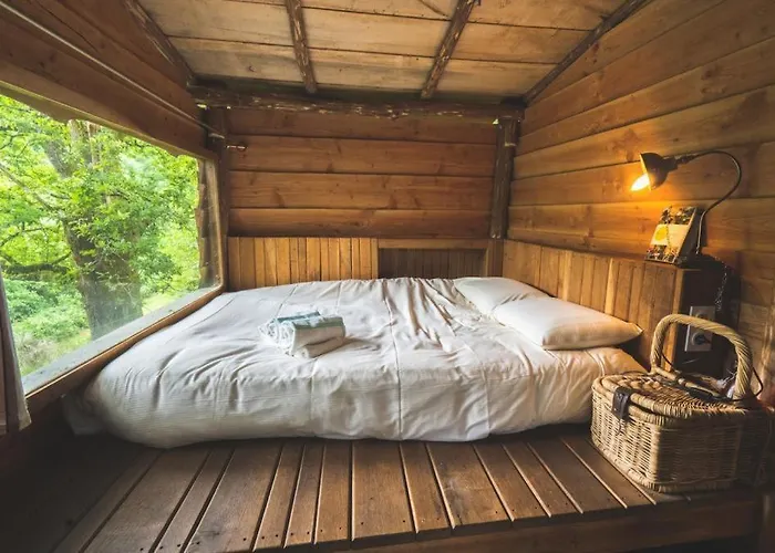 Terragora Glamping Camping *