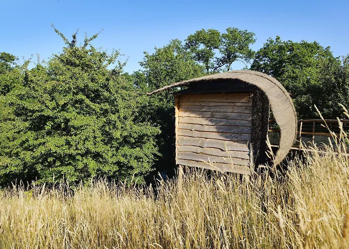 Campsite Terragora Glamping Les Epesses