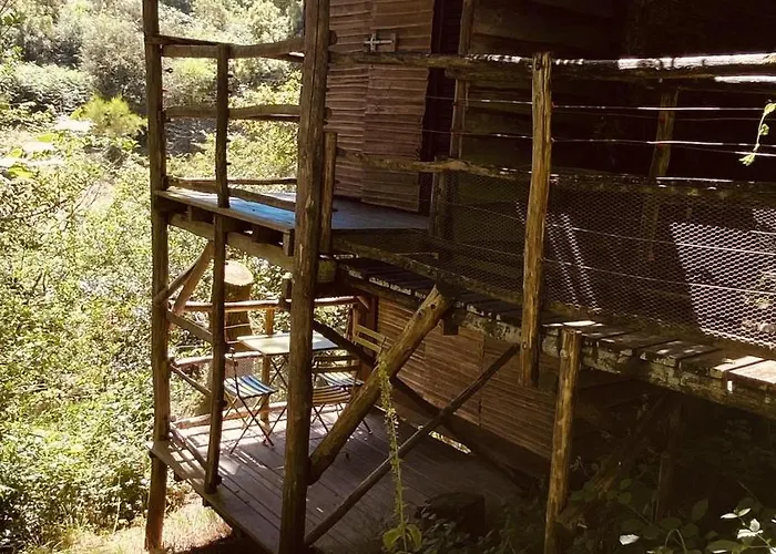 Camping Terragora Glamping *