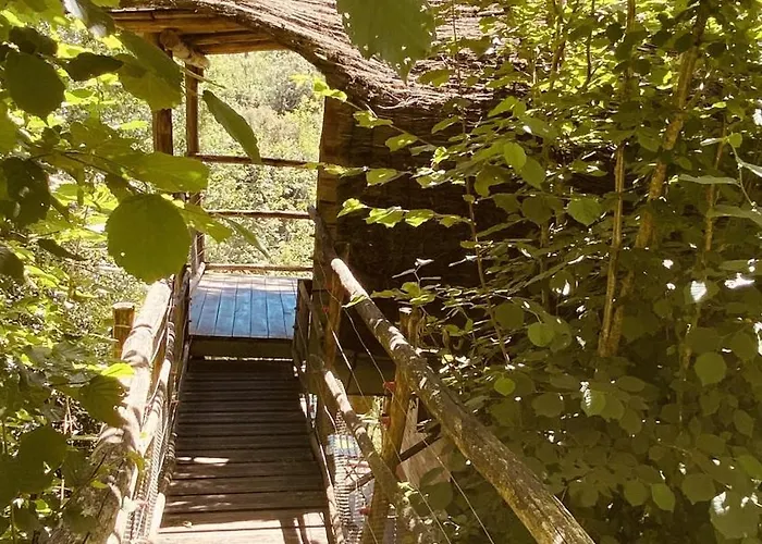 Camping Terragora Glamping